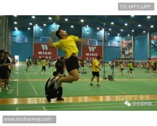 南京羽毛球队防反战术革新探讨与实践分析